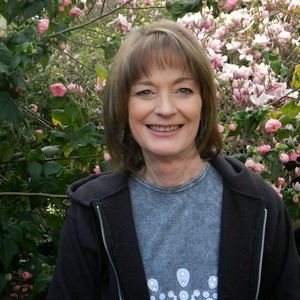 Meet your Posher, Dawn